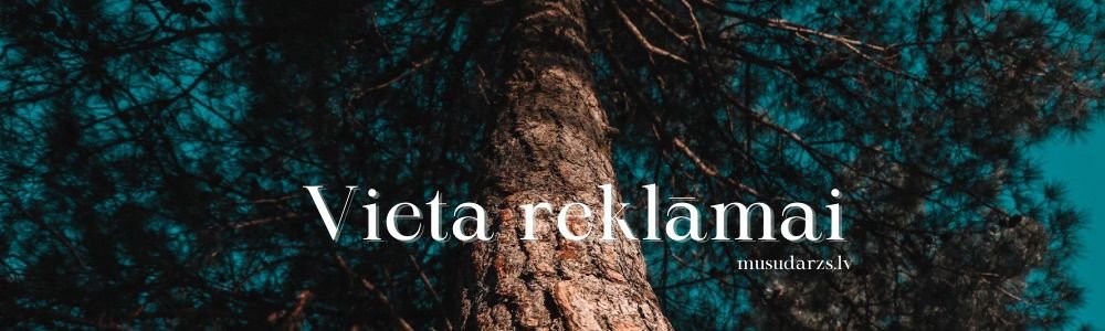 Reklāma 3