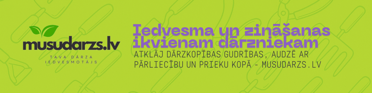 Reklāmas baneris